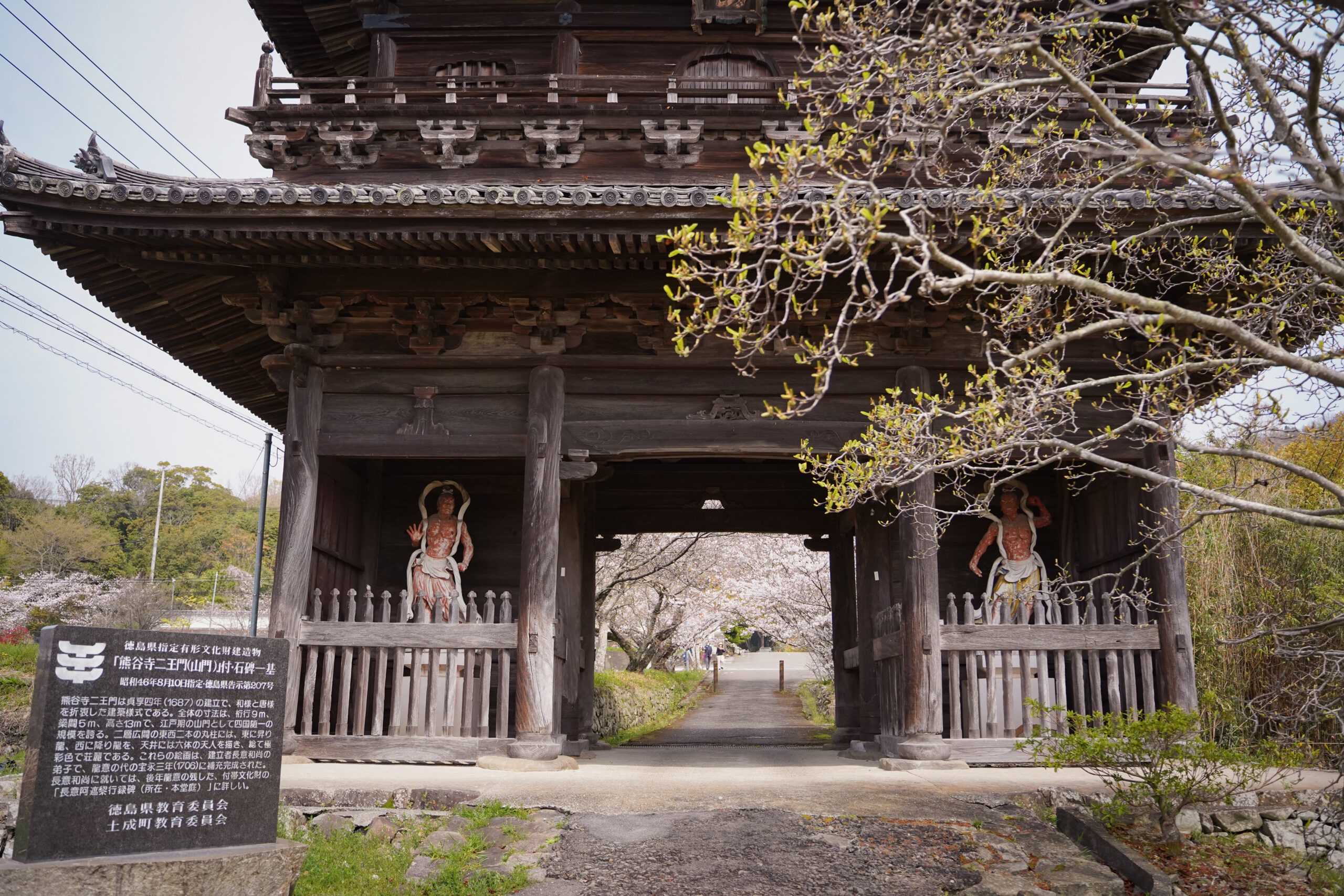 阿波市の桜(2026) | 開花状況や名所まとめ
