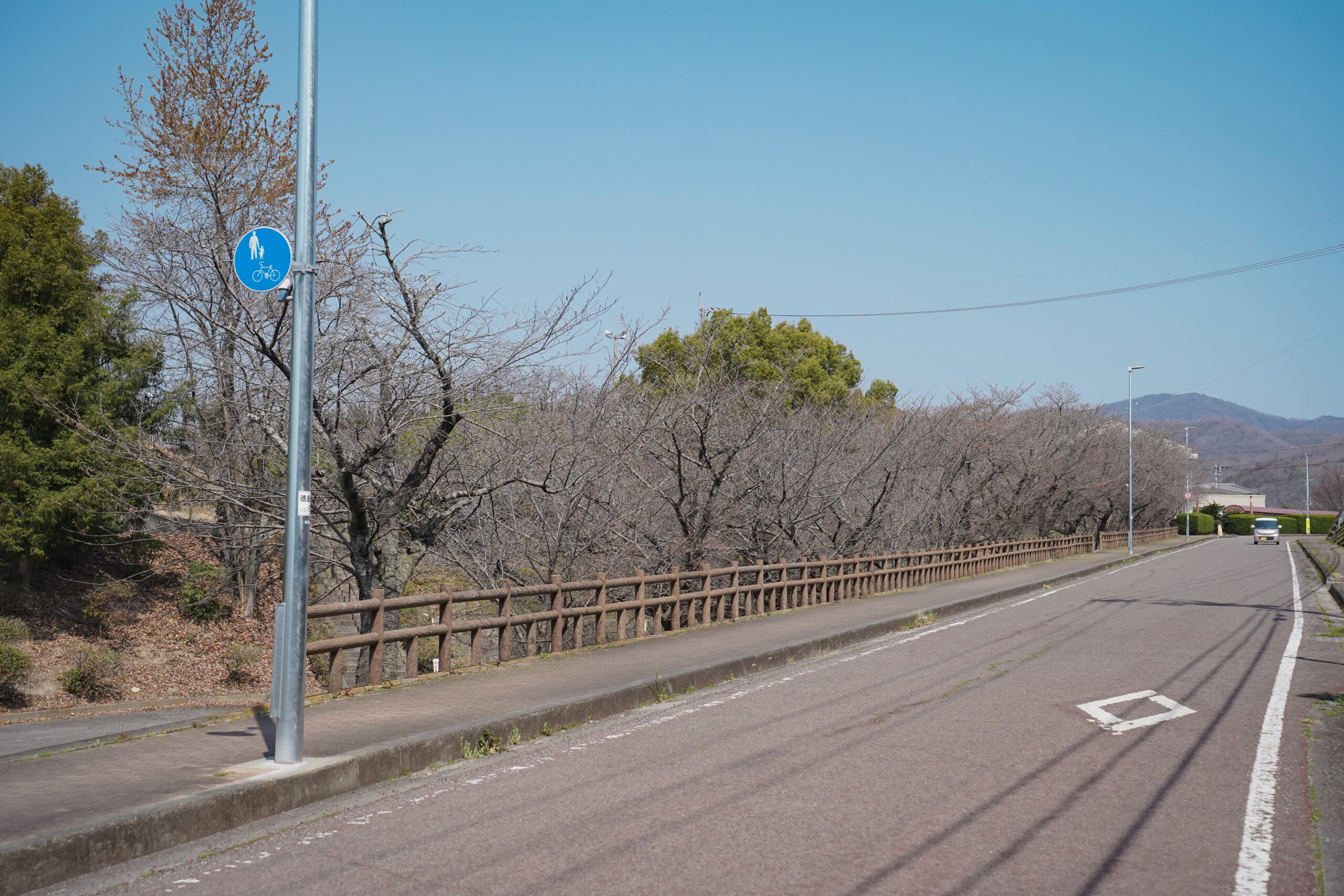 阿波市の桜(2026) | 開花状況や名所まとめ