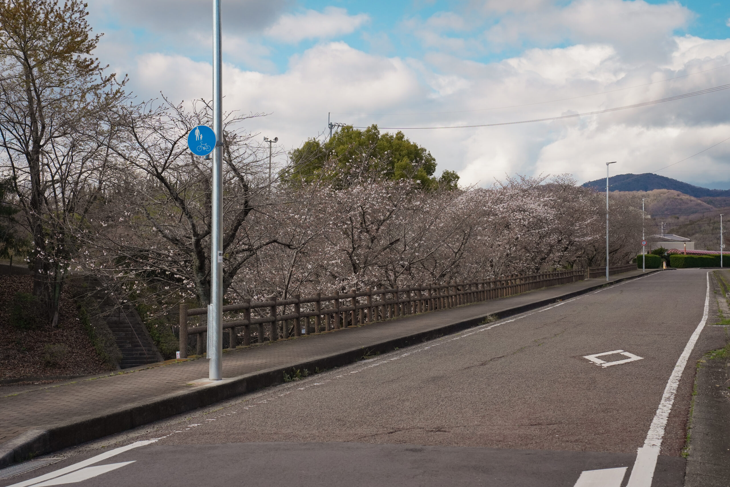 阿波市の桜(2026) | 開花状況や名所まとめ