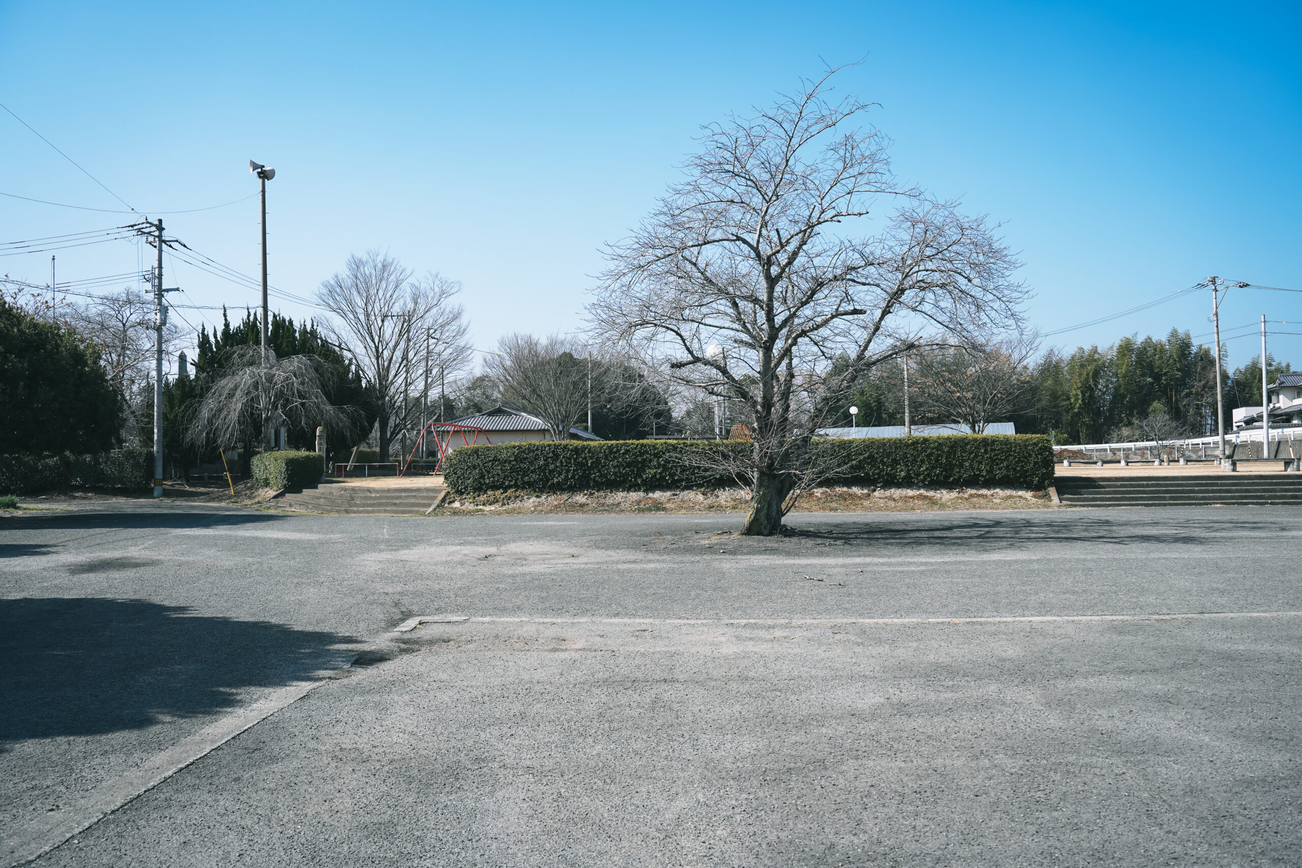 市場公園 | 阿波市の公園ガイド(2)