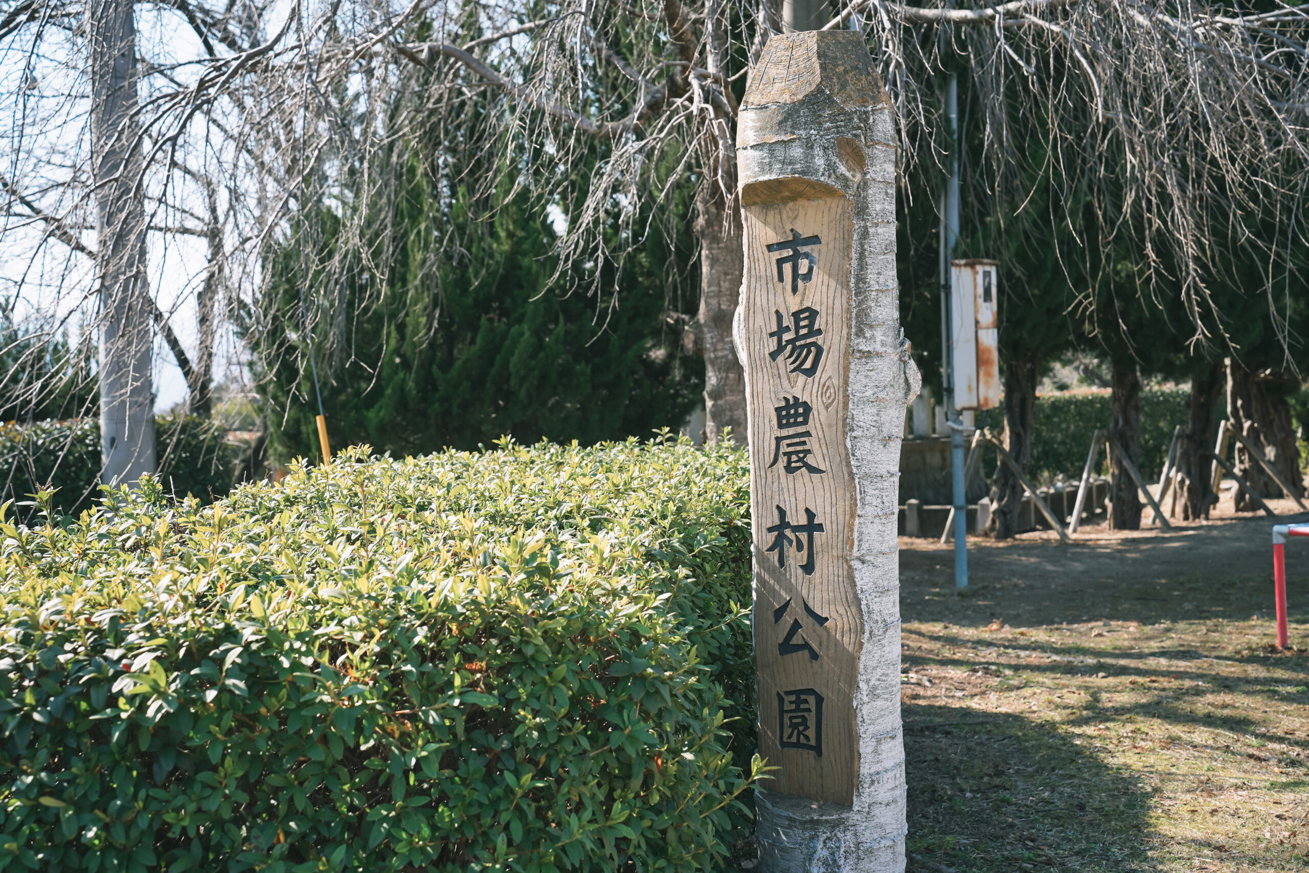 市場公園 | 阿波市の公園ガイド(2)