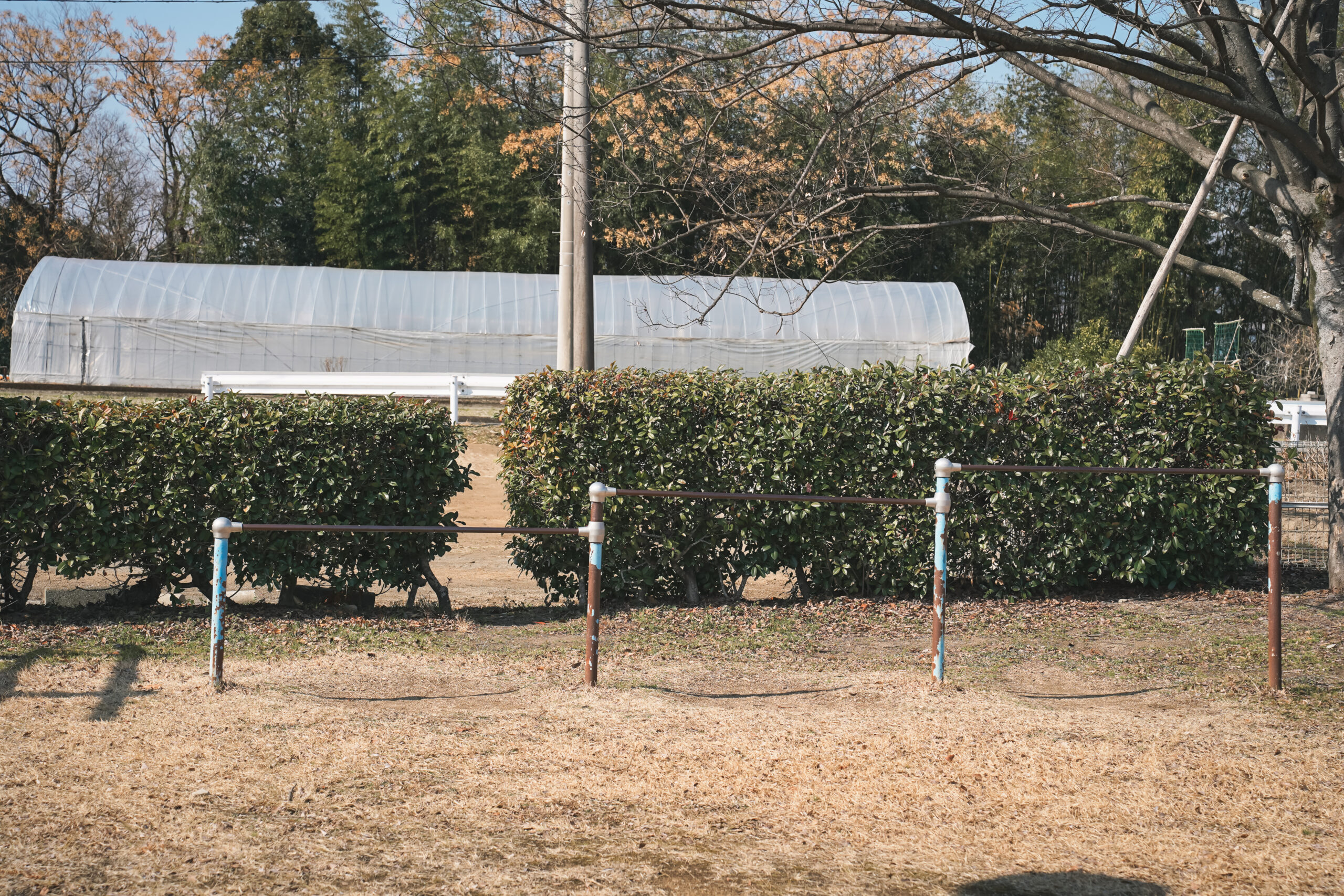 市場公園 | 阿波市の公園ガイド(2)