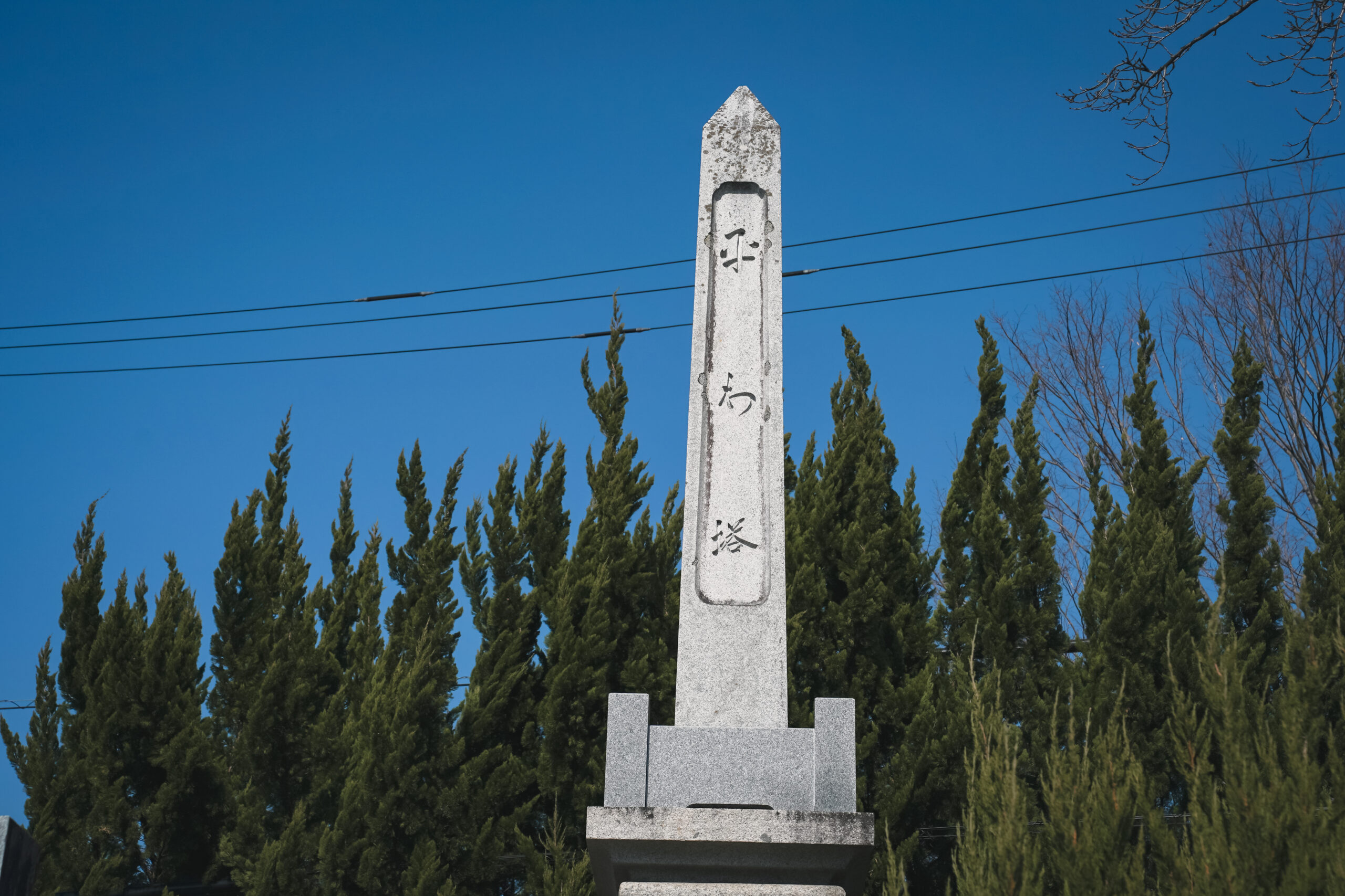 市場公園 | 阿波市の公園ガイド(2)