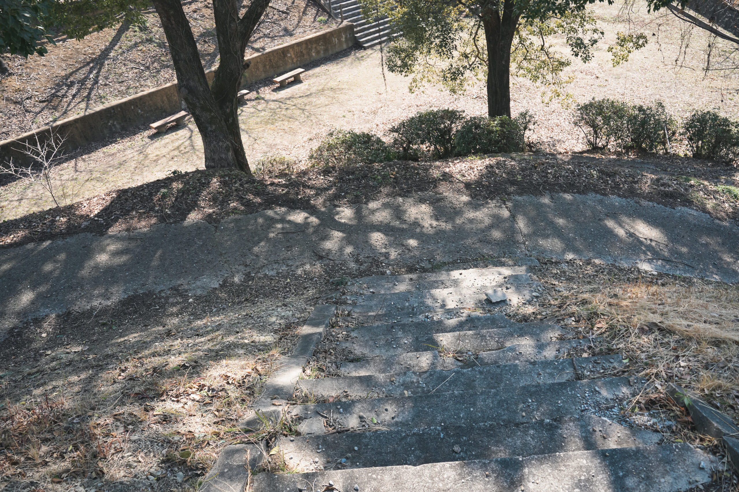 市場公園 | 阿波市の公園ガイド(2)