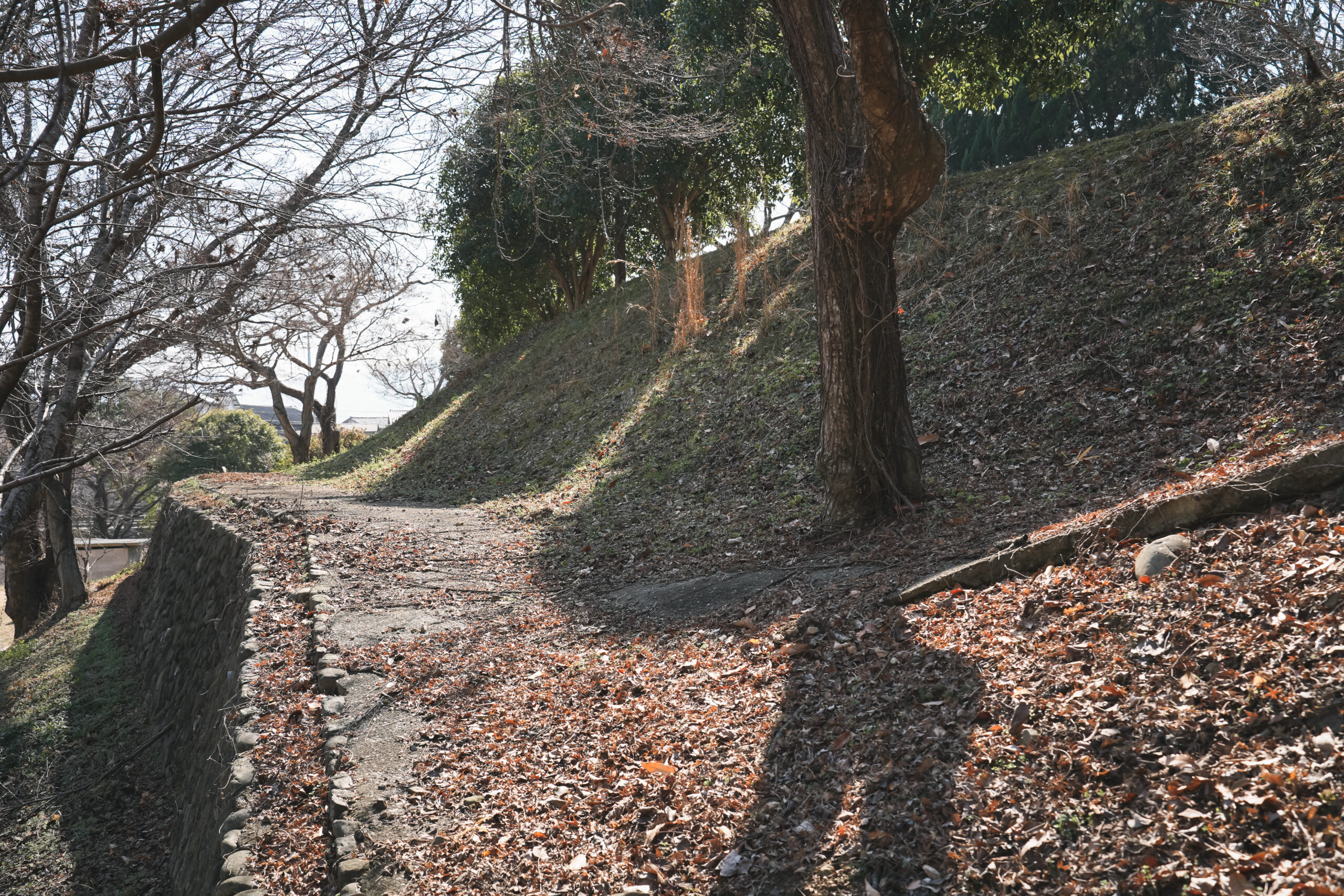 市場公園 | 阿波市の公園ガイド(2)