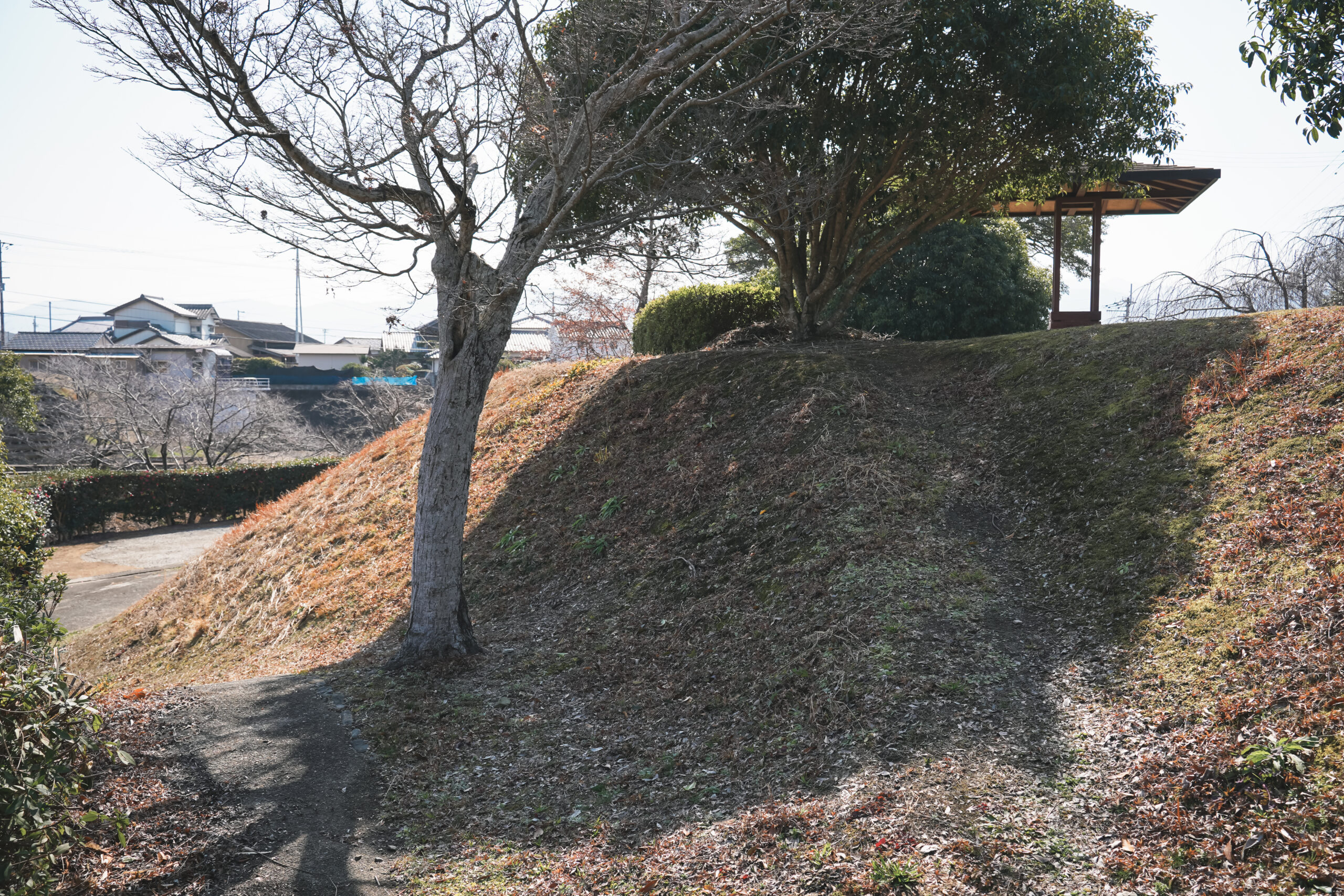 市場公園 | 阿波市の公園ガイド(2)