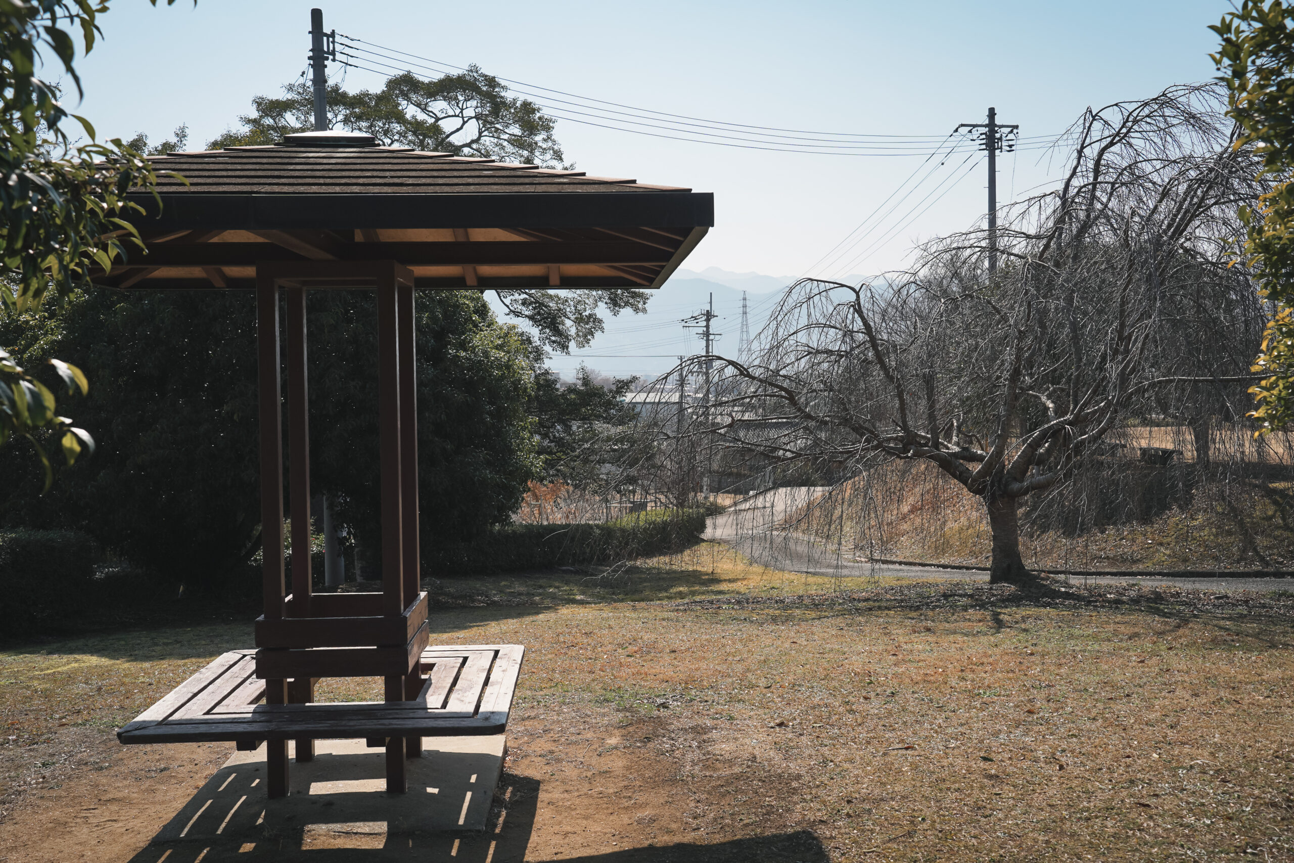 市場公園 | 阿波市の公園ガイド(2)