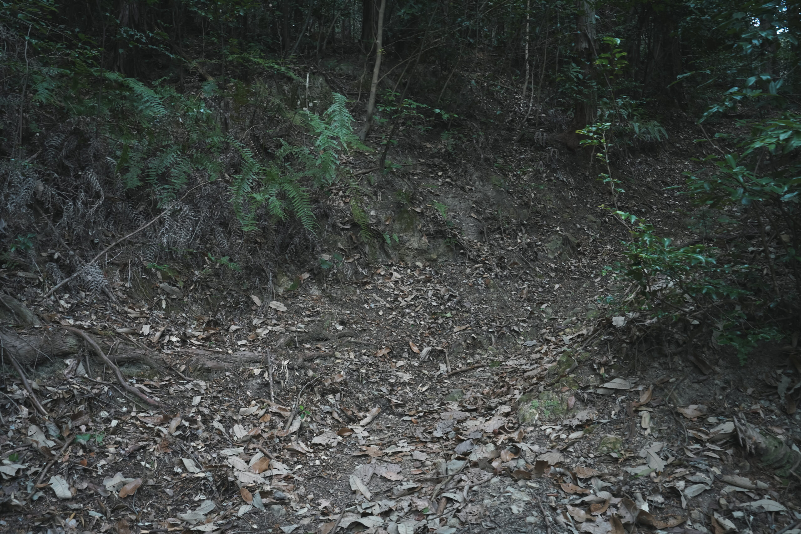 奥之院八祖大師 (切幡寺奥の院)をたずねて