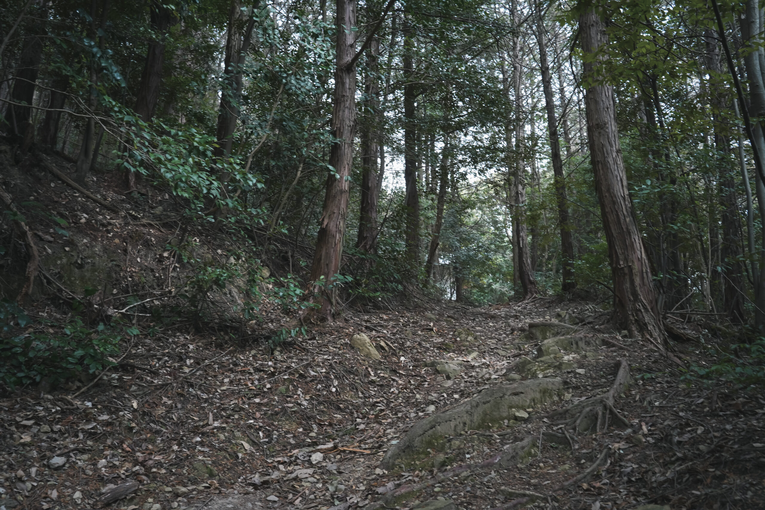 奥之院八祖大師 (切幡寺奥の院)をたずねて