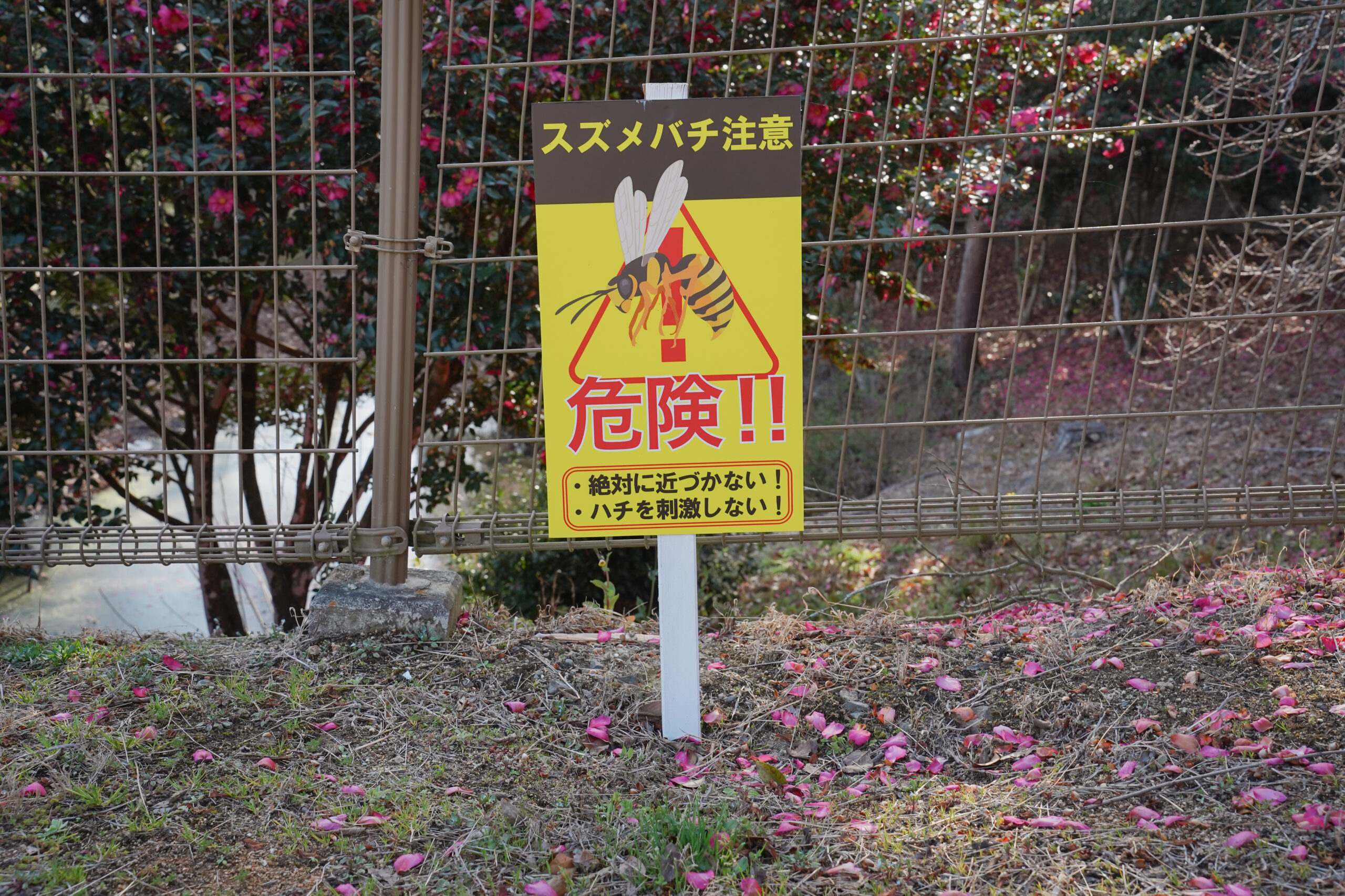 土柱そよ風ひろば | 阿波市の公園ガイド（3）