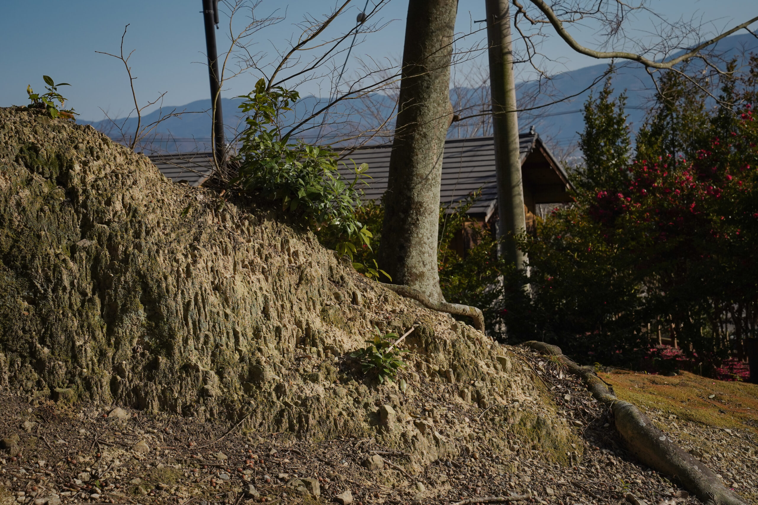 土柱そよ風ひろば | 阿波市の公園ガイド（3）