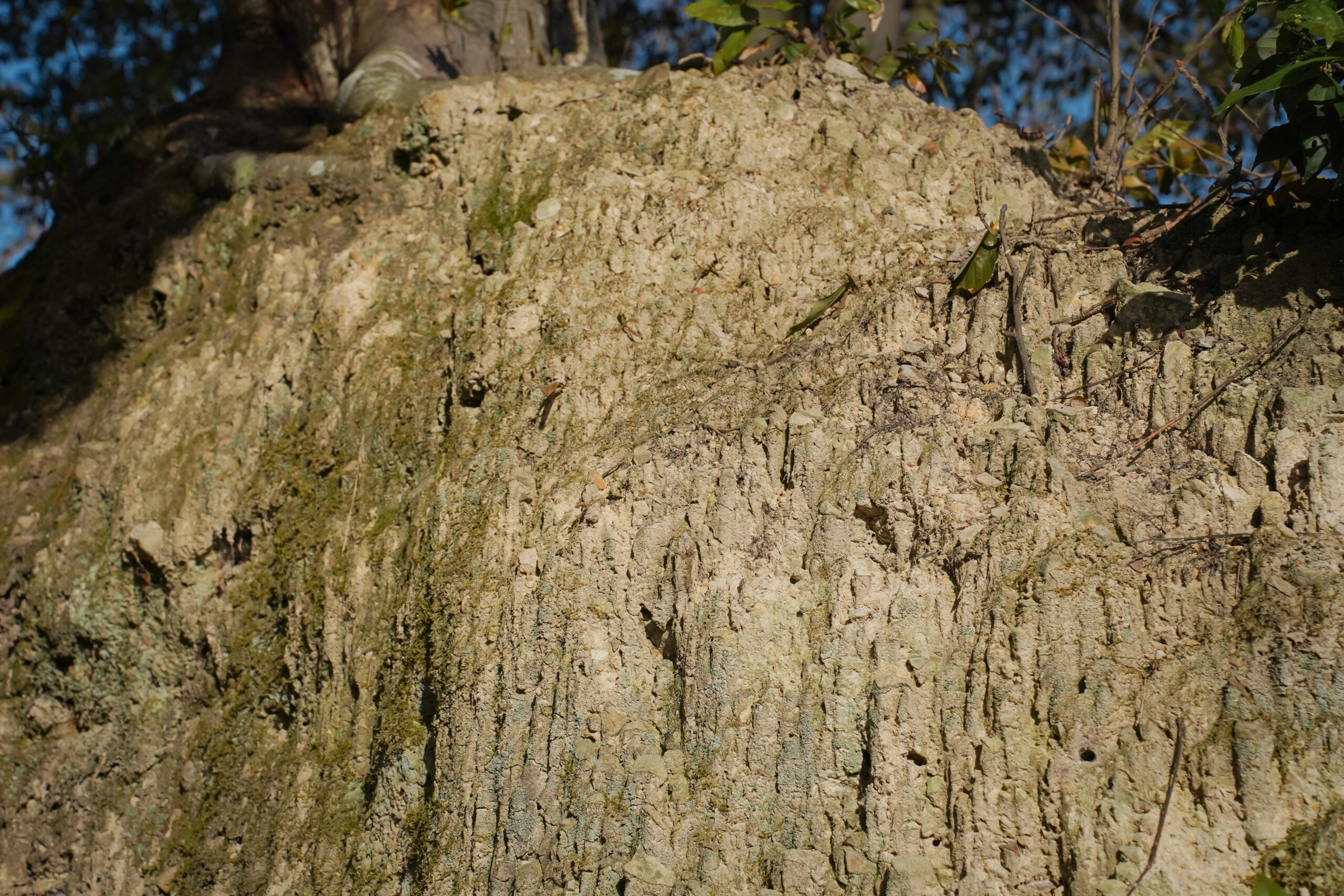 土柱そよ風ひろば | 阿波市の公園ガイド（3）