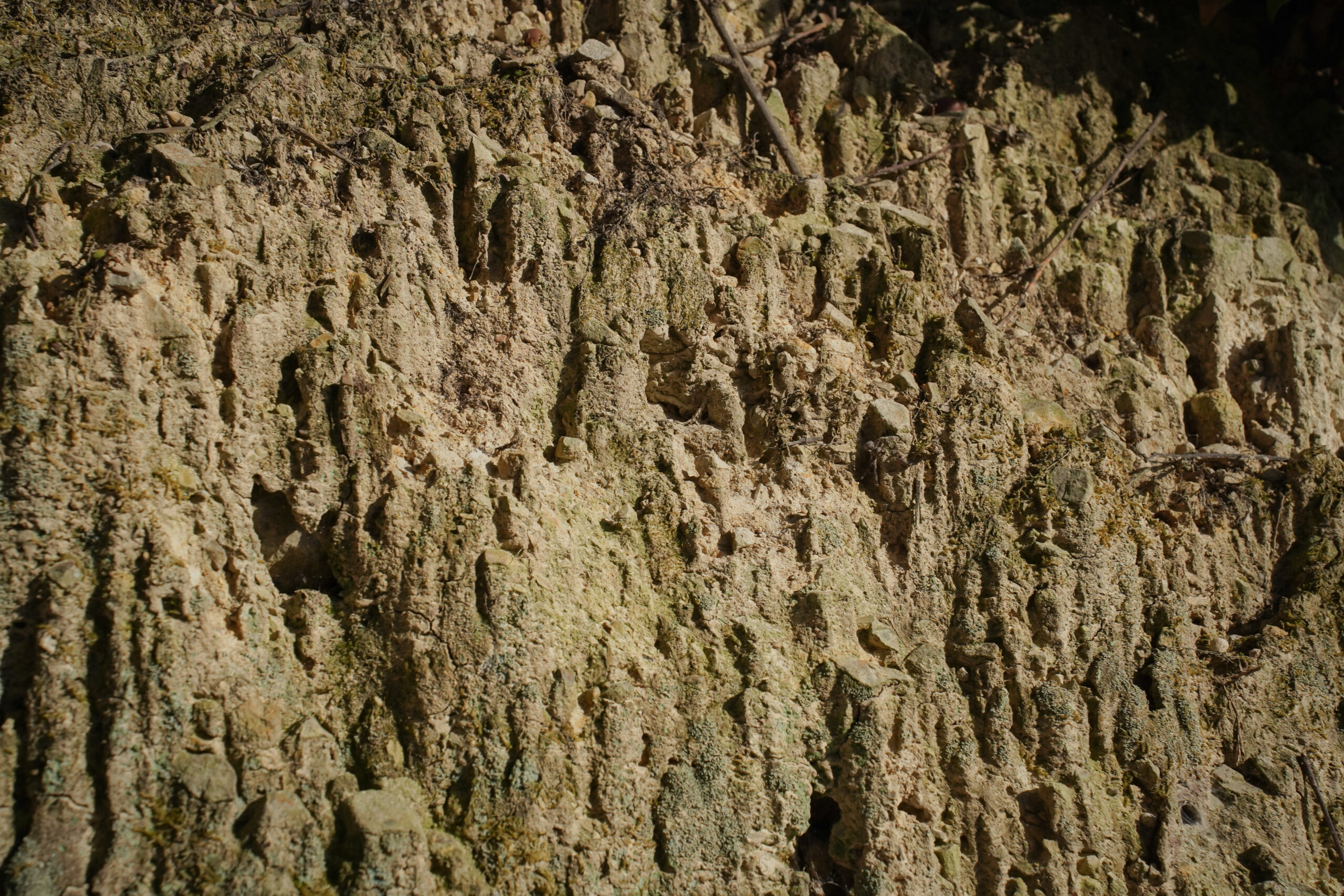 土柱そよ風ひろば | 阿波市の公園ガイド（3）