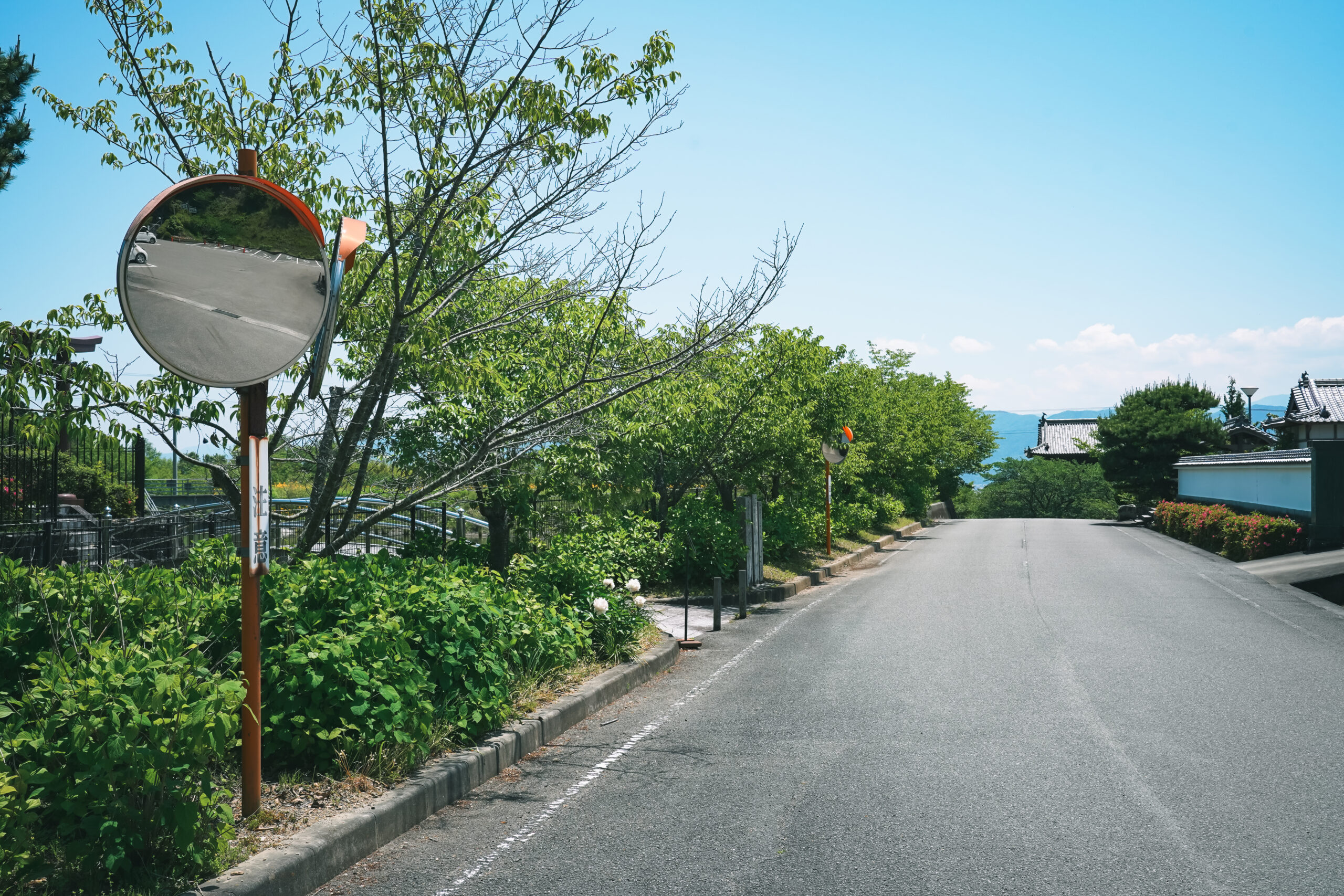 熊谷寺のあじさい2026 | 開花状況・最新情報をお届け