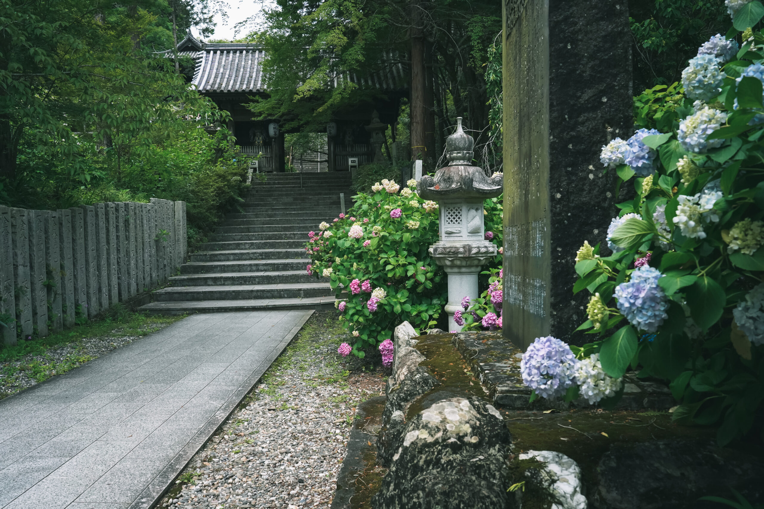 熊谷寺のあじさい2026 | 開花状況・最新情報をお届け