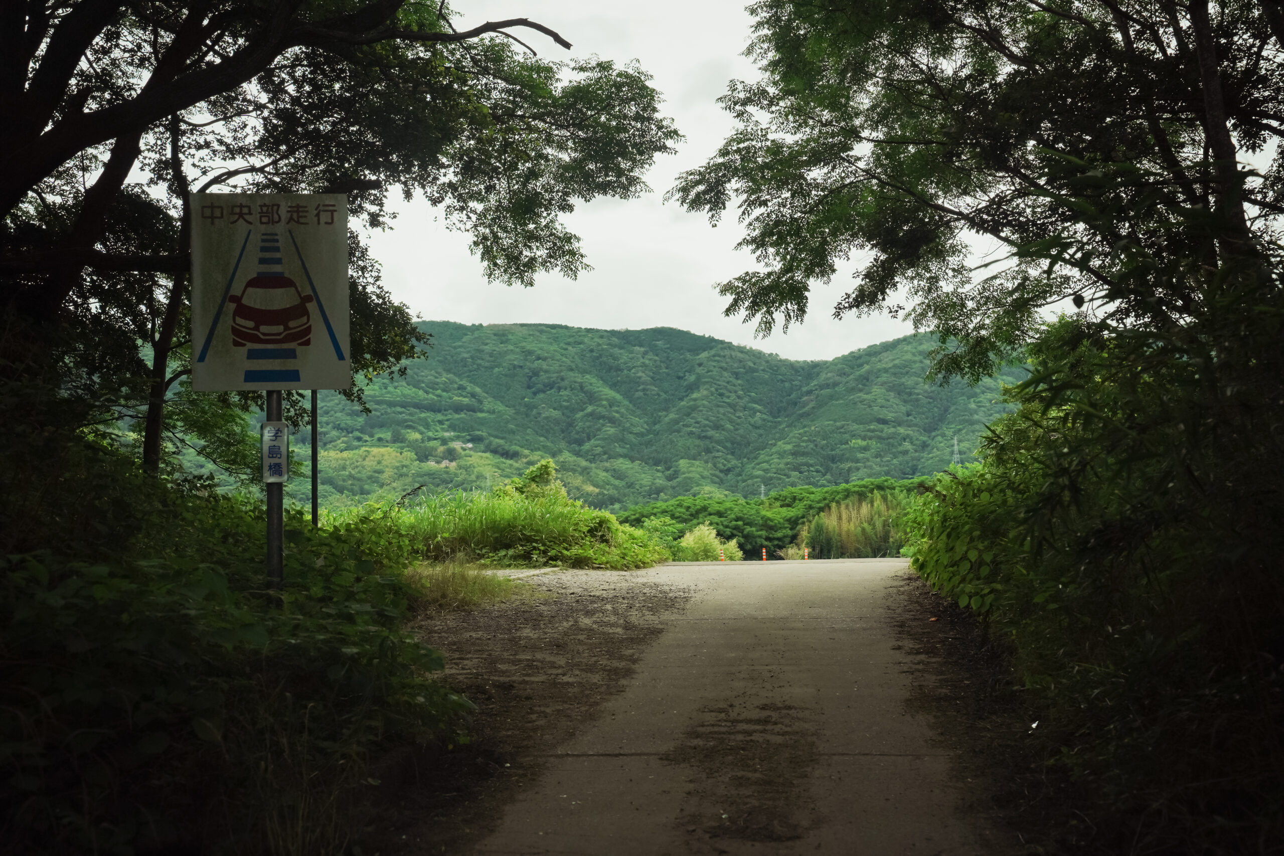善入寺島 学島橋 看板