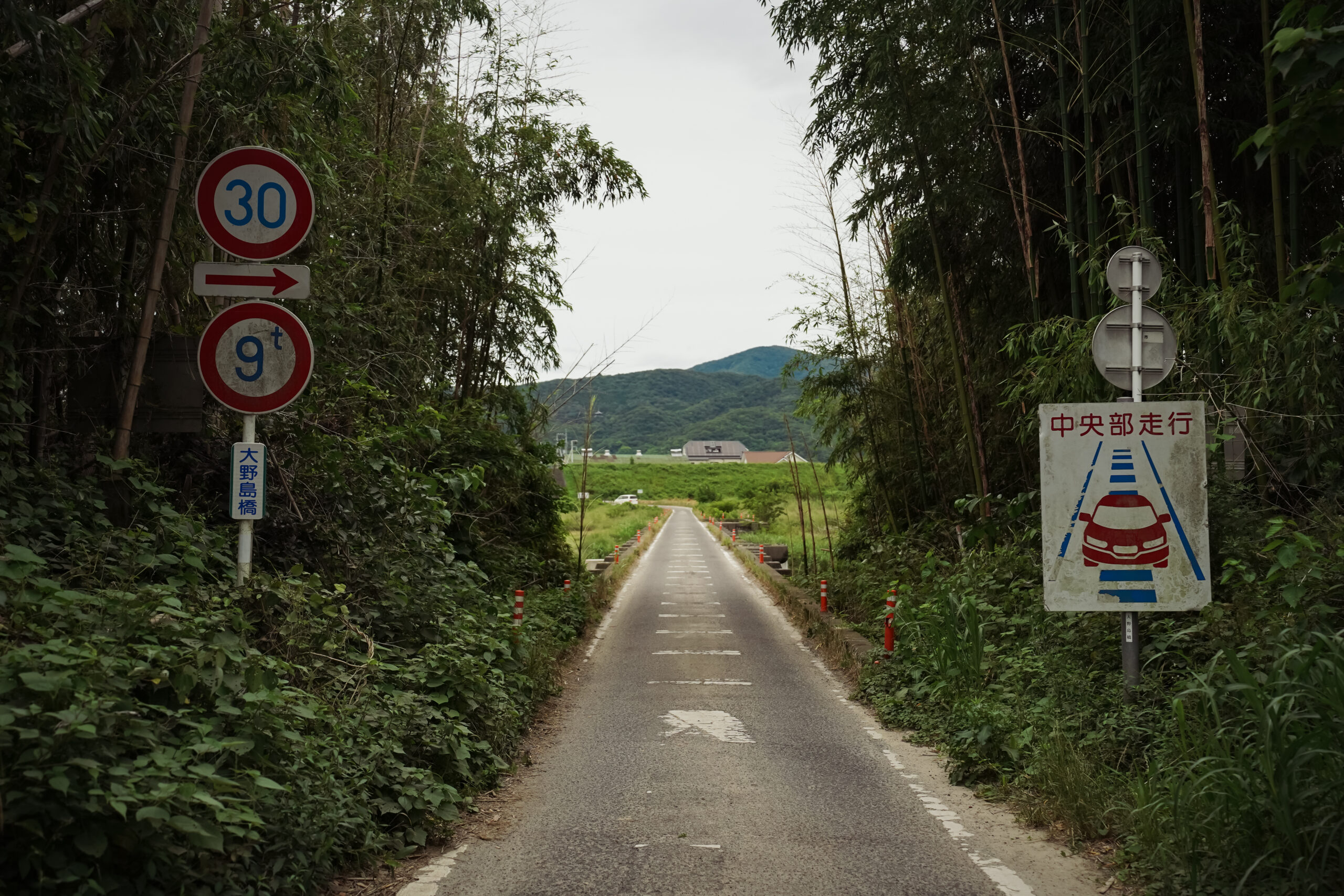善入寺島 大野島橋 看板